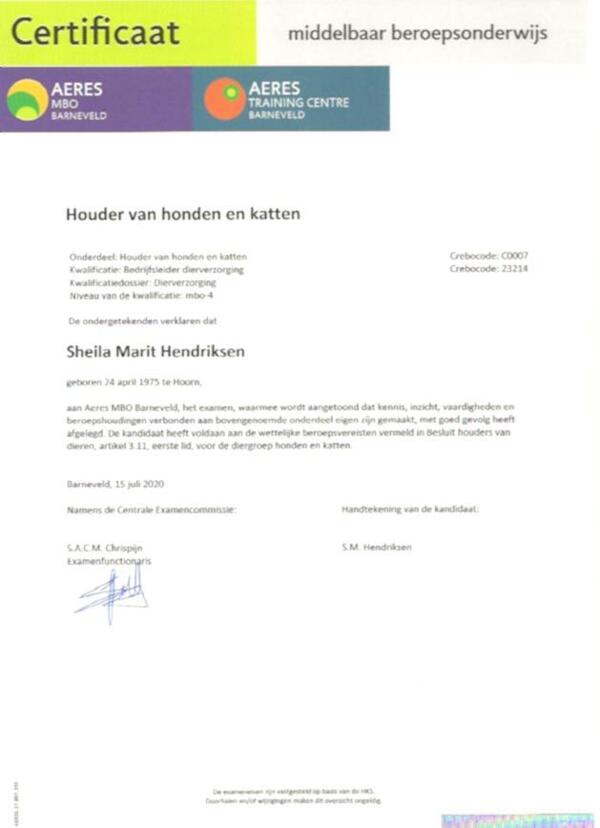 BhvD_diploma.jpeg