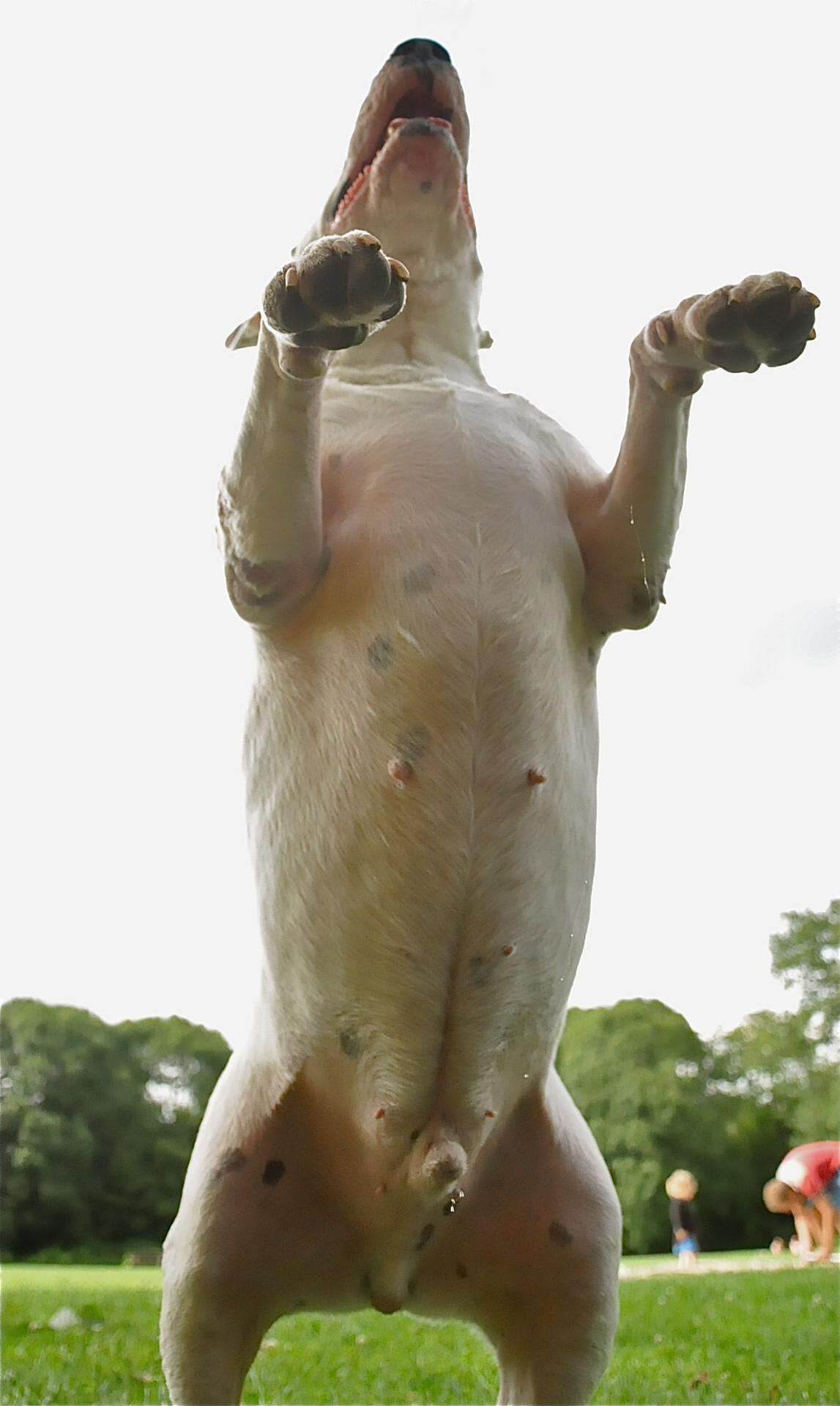 dsc0080_1.jpg