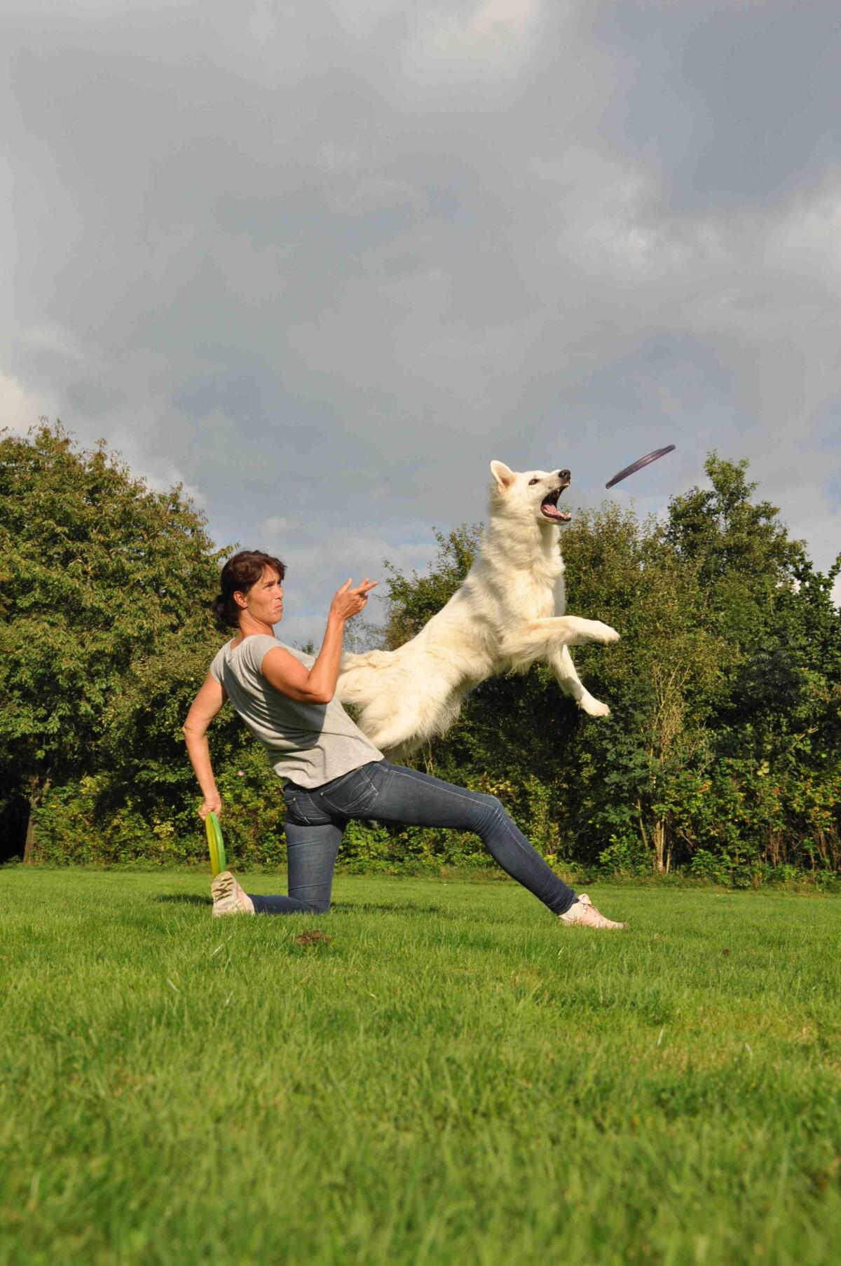 frisbee_2.jpg