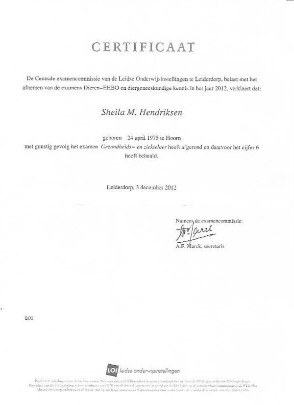 diploma_ziekteleer_diergeneeskundige_kennis_.jpeg